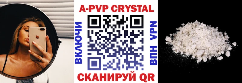 закладки Вологда APVP крисы CK