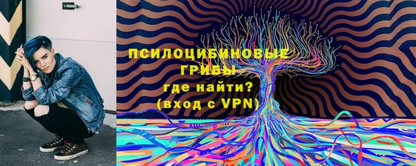 2c-b Лихославль