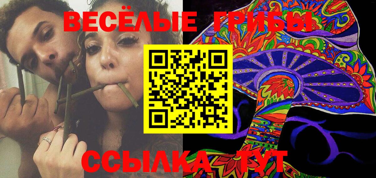 Вологда  Псилоцибиновые грибы Magic Shrooms  Вход с VPN 