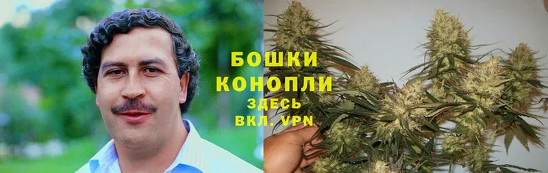 хочу наркоту  Вологда  Бошки марихуана OG Kush 